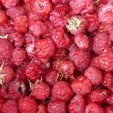 Casa vacanze La Kumari Pintura di Bolognola