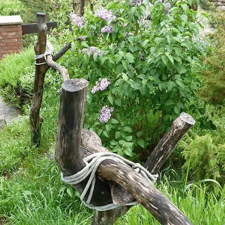 Casa vacanze La Kumari Pintura di Bolognola