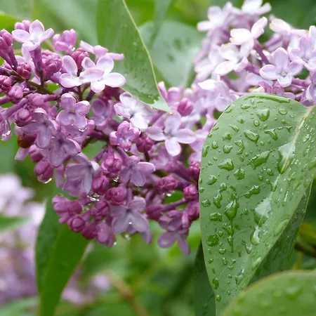 La Kumari Casa vacanze