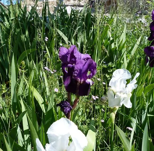 Casa de Férias La Kumari